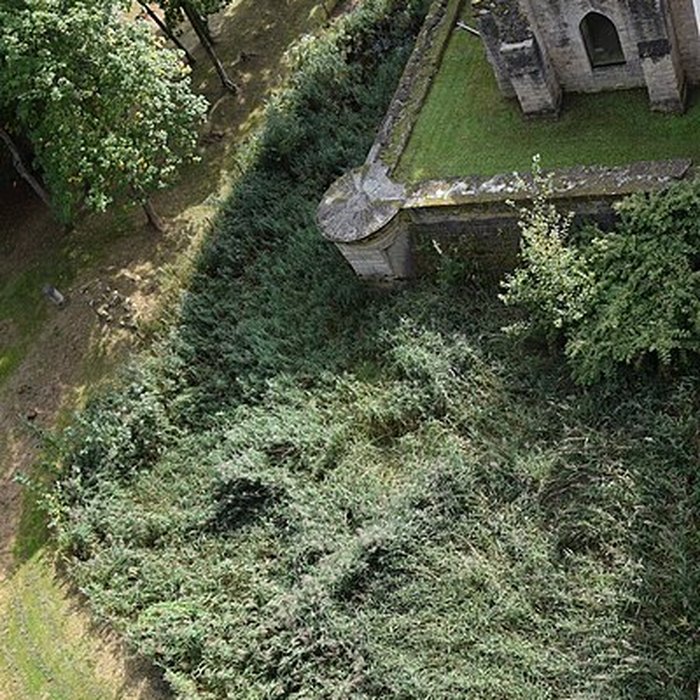 Photo de Donjon de Septmonts