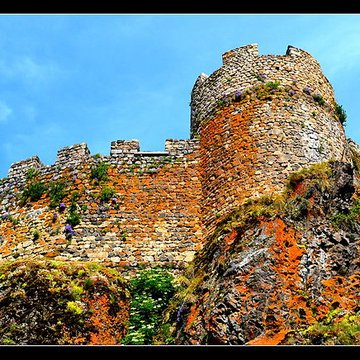 Restes du Château fort