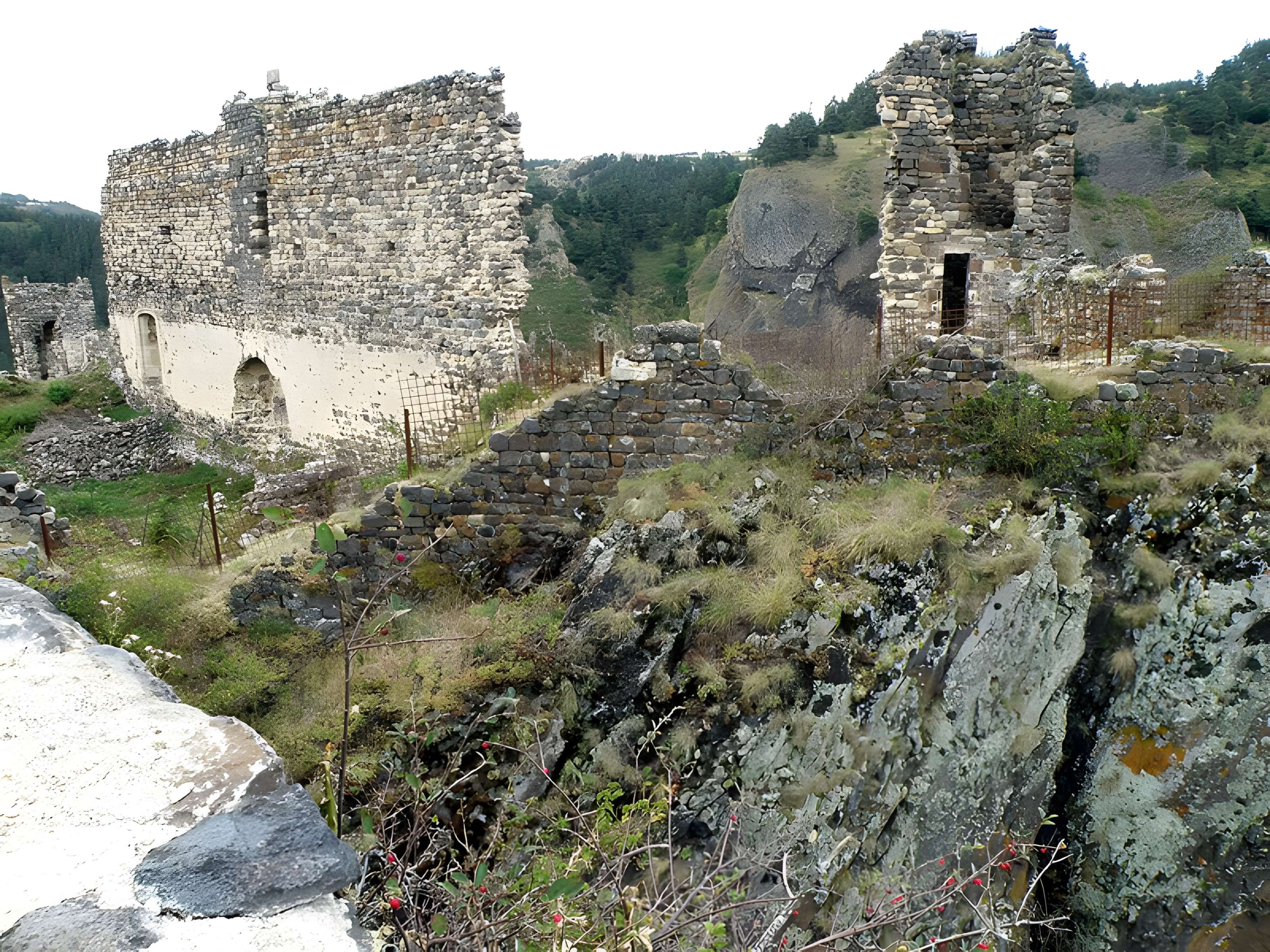 Restes du Château fort
