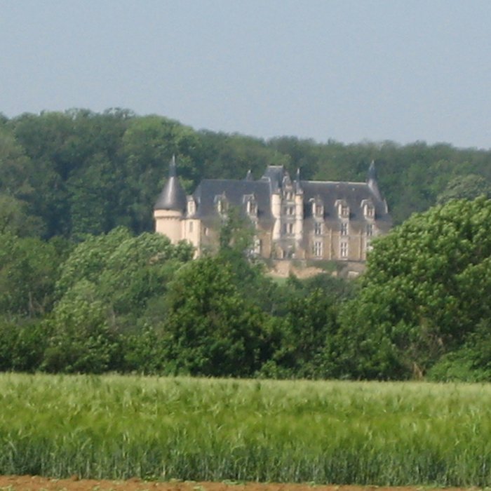 Photo de Château dArs