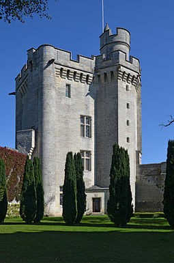 Photo de Donjon de Vez