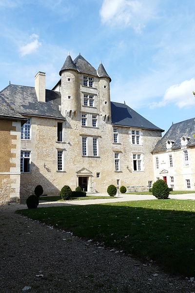 Photo de Château d'Avanton