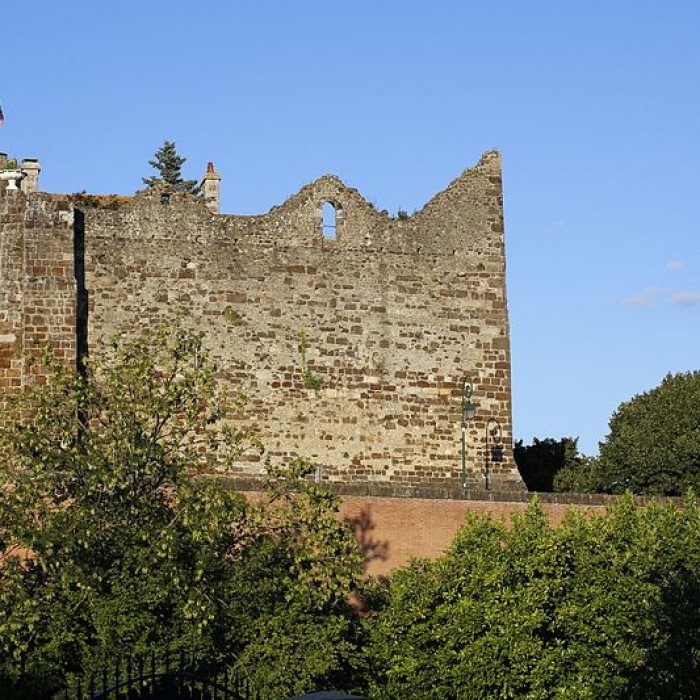 Photo de Château de Beaumont-sur-Sarthe