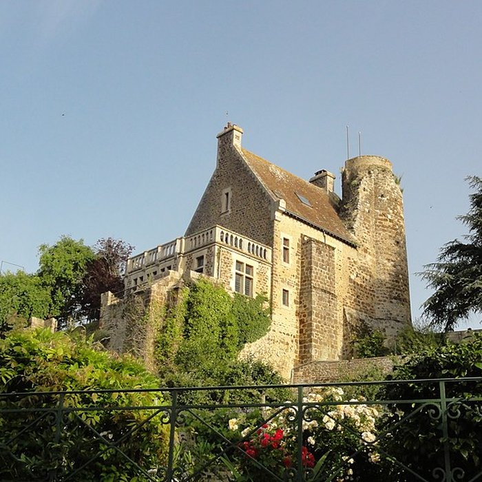 Photo de Château de Beaumont-sur-Sarthe