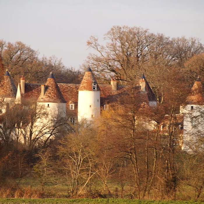Photo de Château de Beauregard à Velles