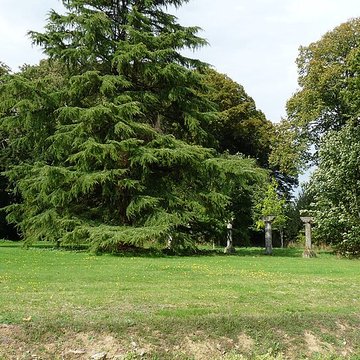 Château de Bel-Air à Le Pertre