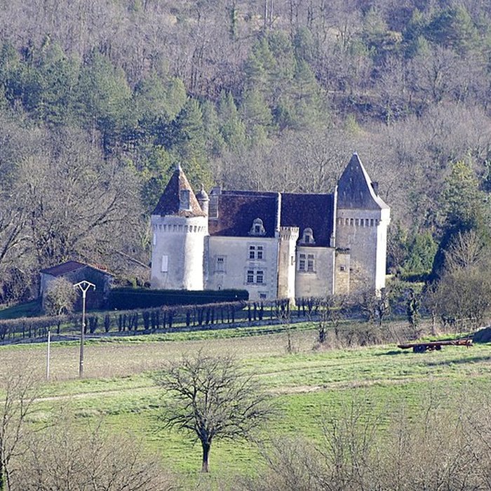 Photo de Château de Bellussière