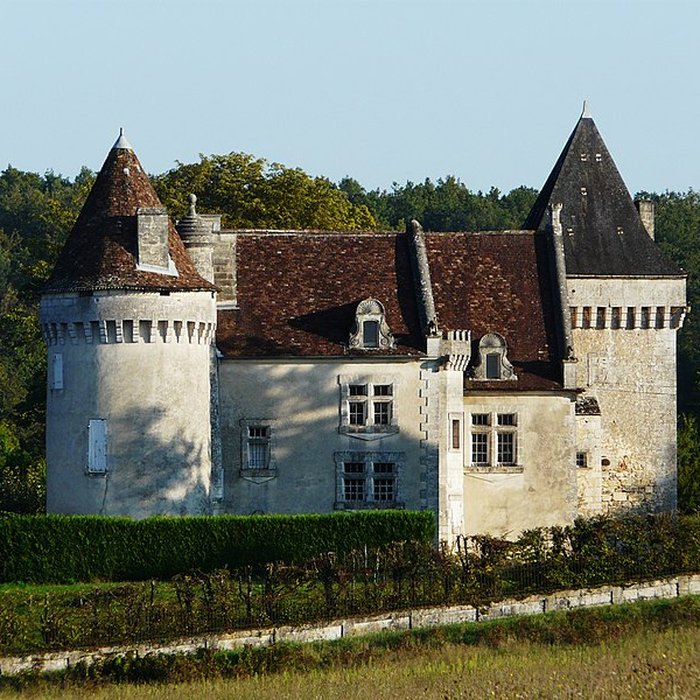 Photo de Château de Bellussière