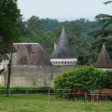 Château de Borie-Petit