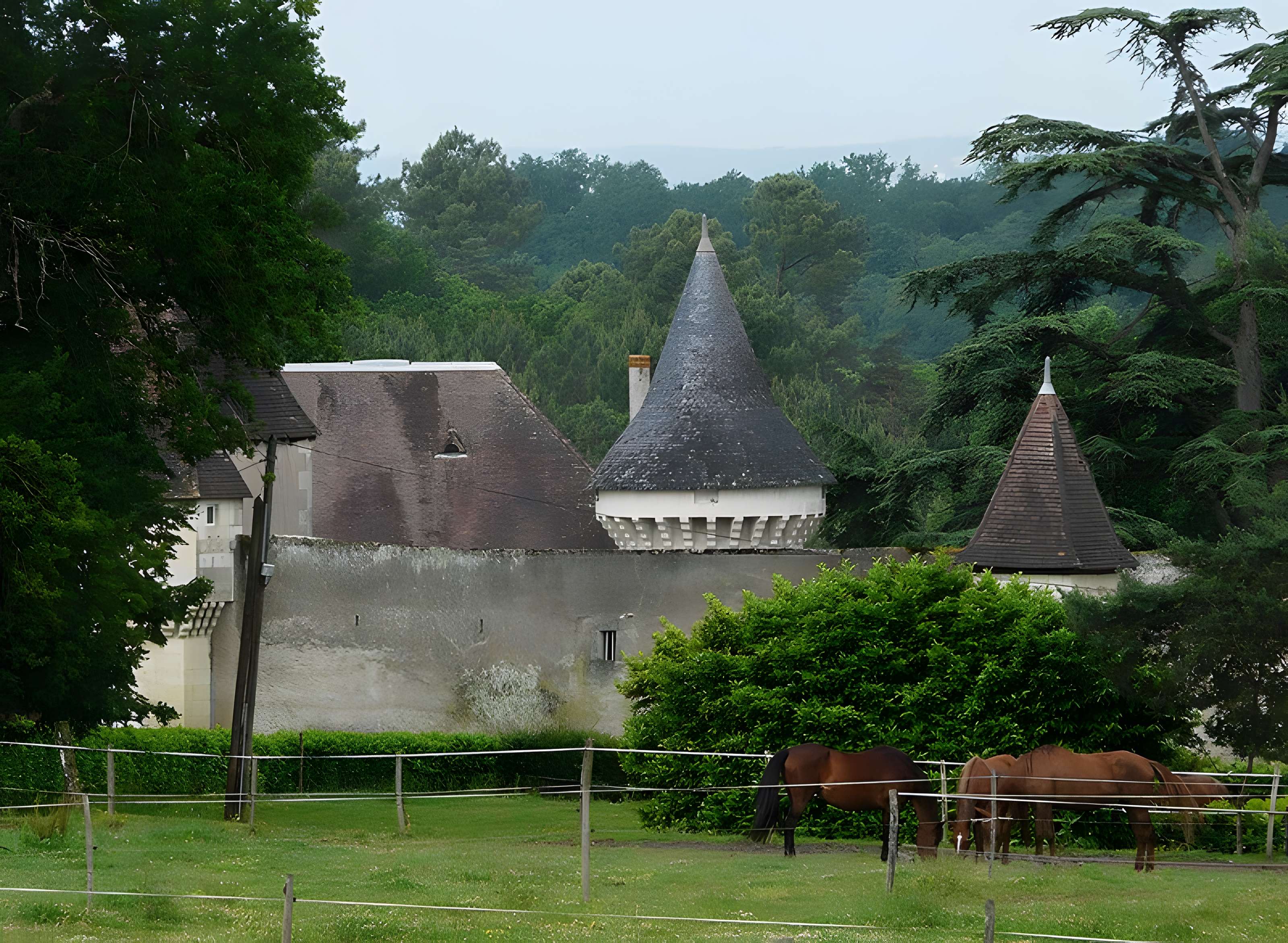 Château de Borie-Petit