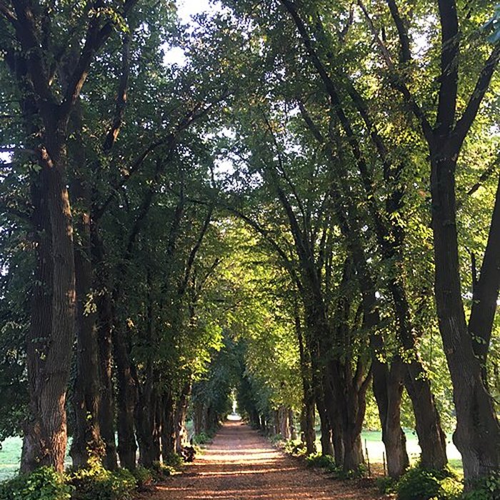 Photo de Château de Bouillancourt-en-Séry