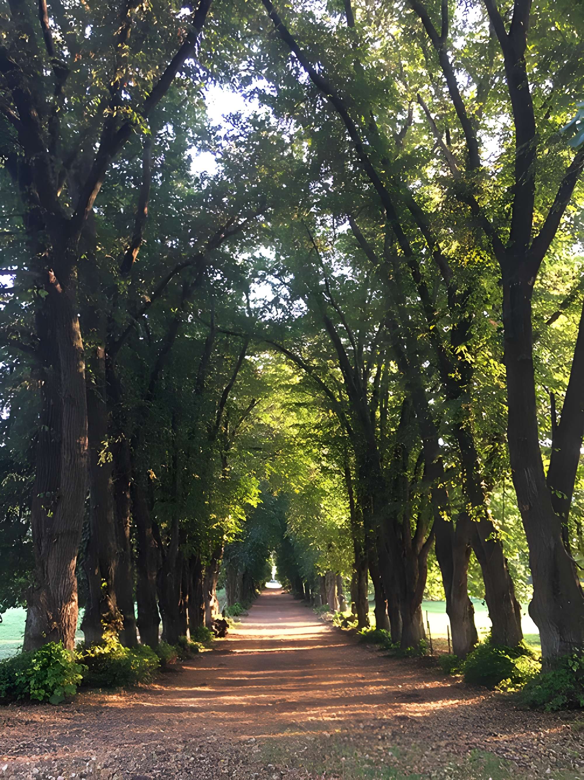 Château de Bouillancourt-en-Séry