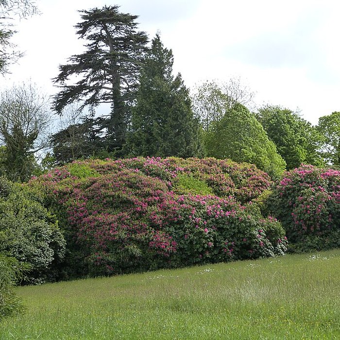 Photo de Château de Catuelan