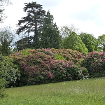 Château de Catuelan