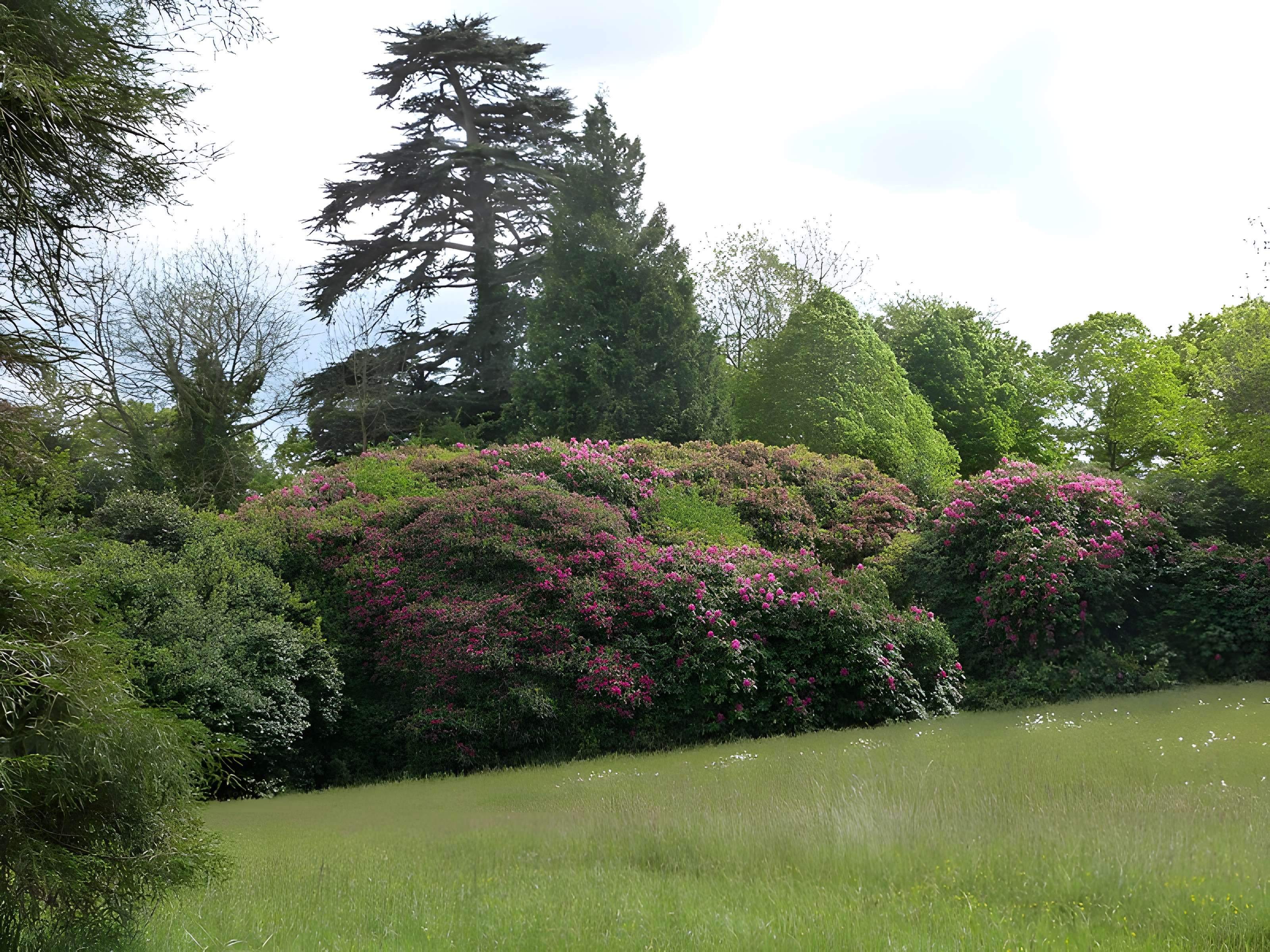 Château de Catuelan