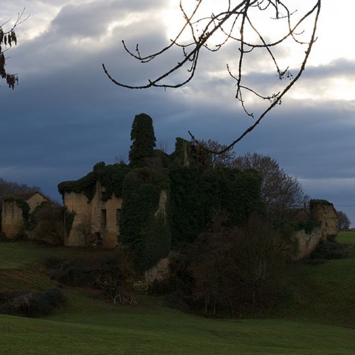 Photo de Château de Chandioux