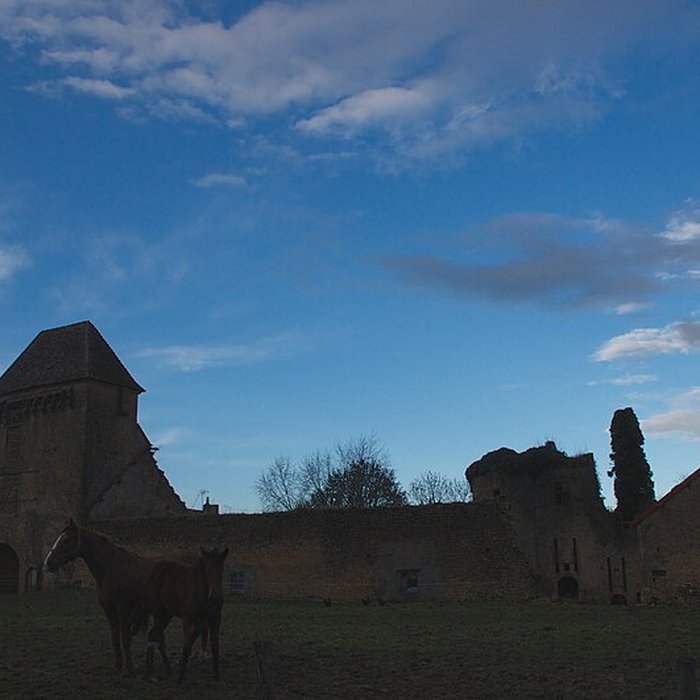 Photo de Château de Chandioux