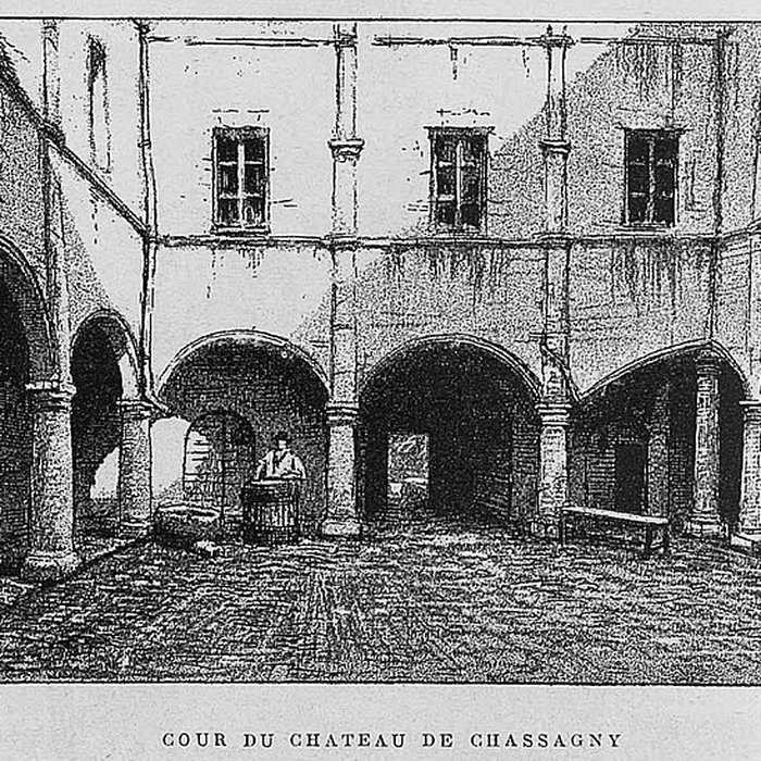 Photo de Château de Chassagny