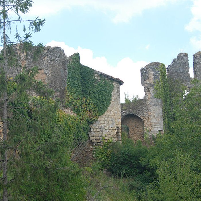 Photo de Château de Château-Larcher