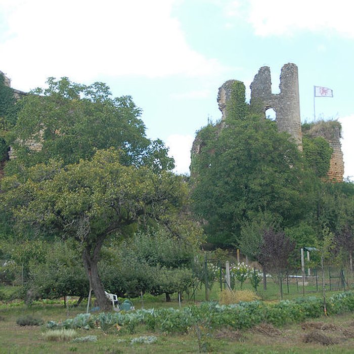 Photo de Château de Château-Larcher