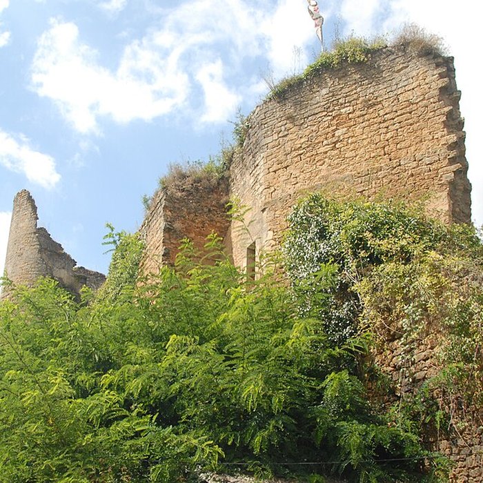 Photo de Château de Château-Larcher