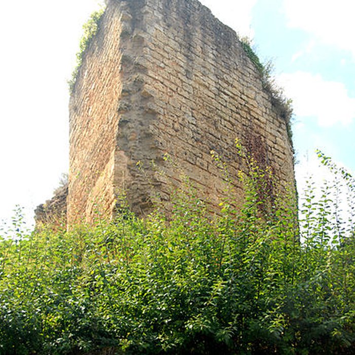 Photo de Château de Château-Larcher