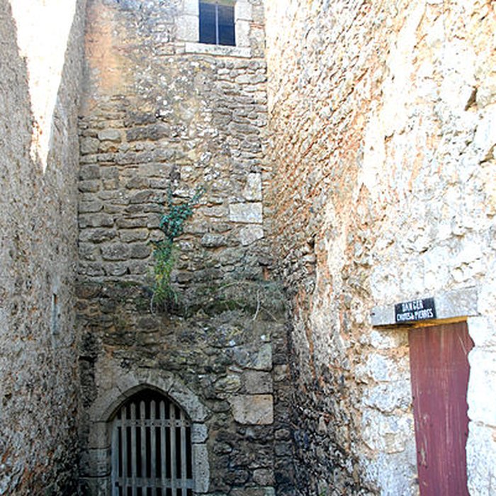 Photo de Château de Château-Larcher