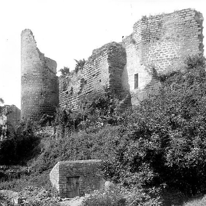 Photo de Château de Château-Larcher