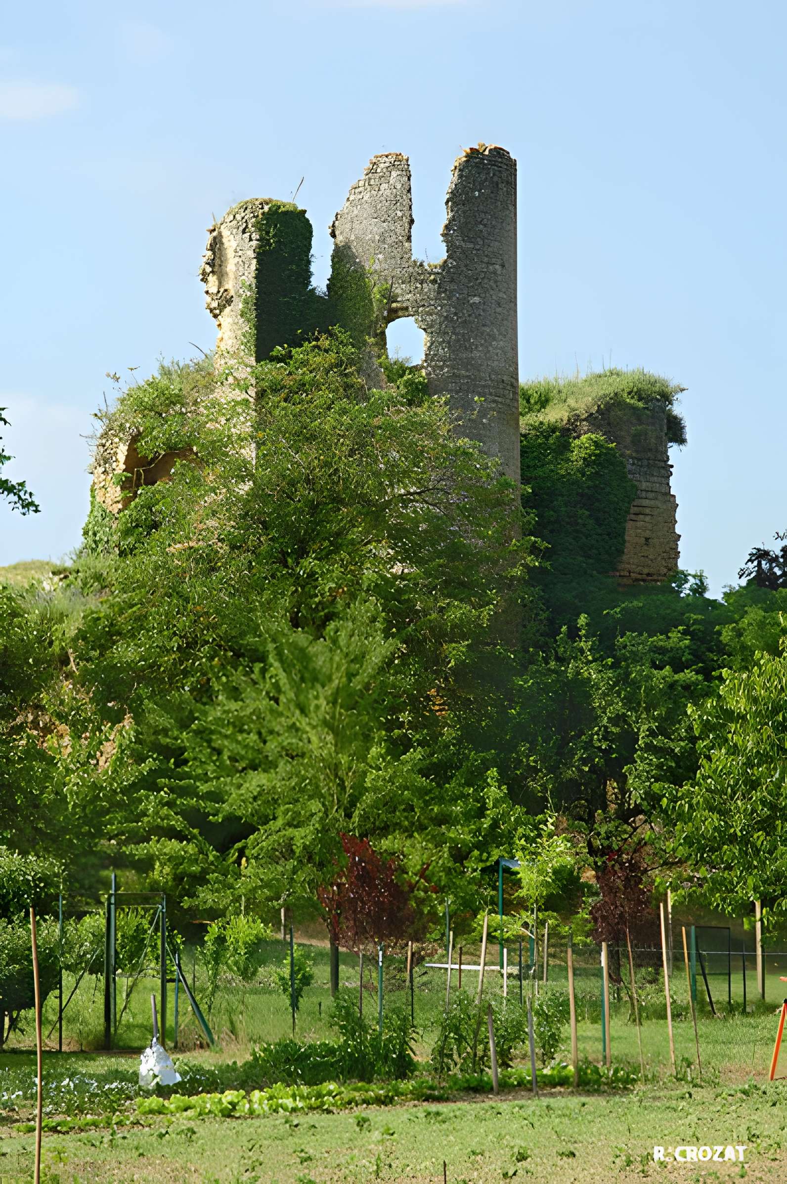 Château de Château-Larcher