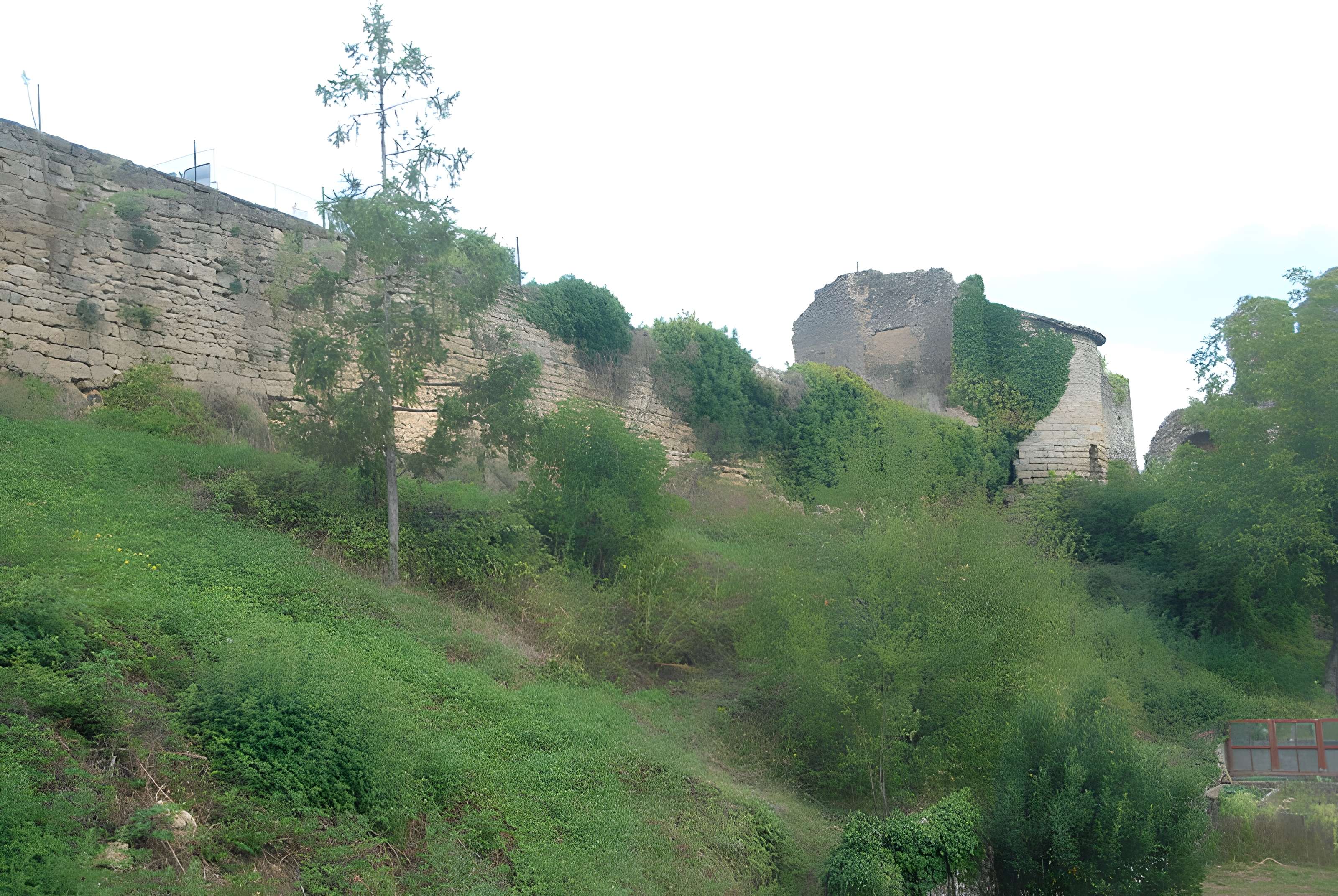 Château de Château-Larcher