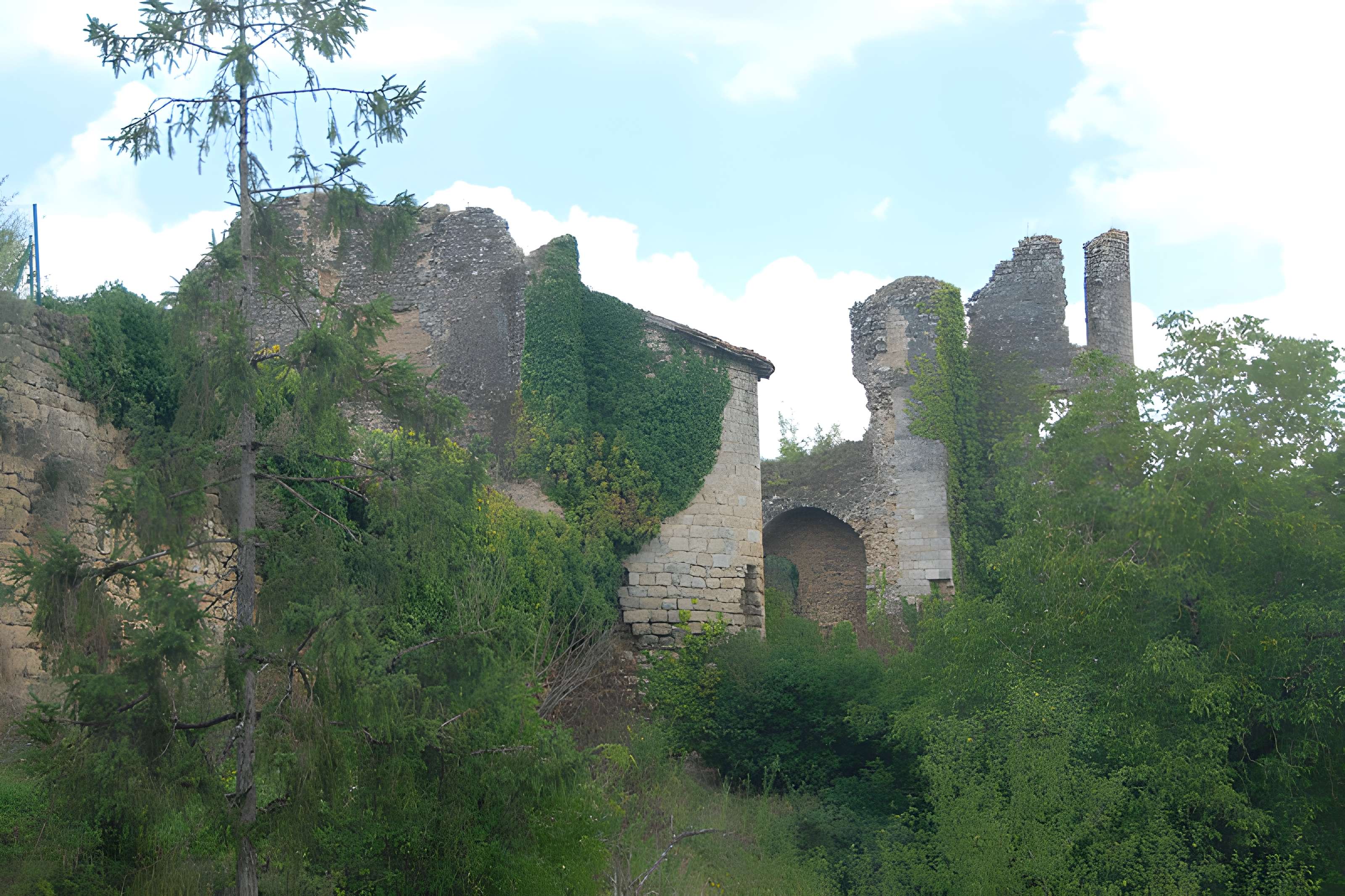 Château de Château-Larcher
