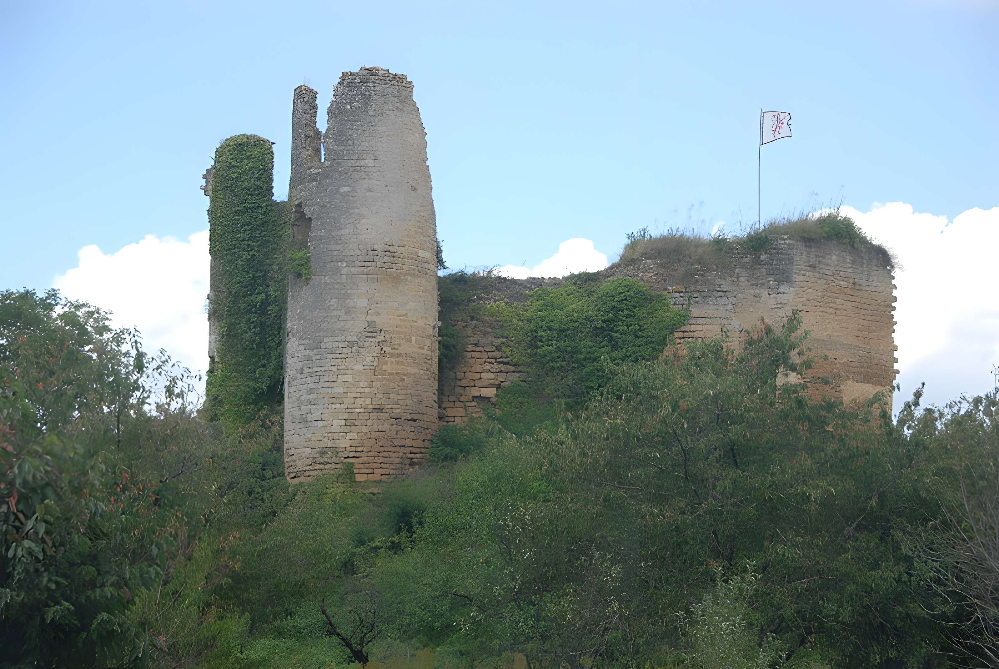 Château de Château-Larcher