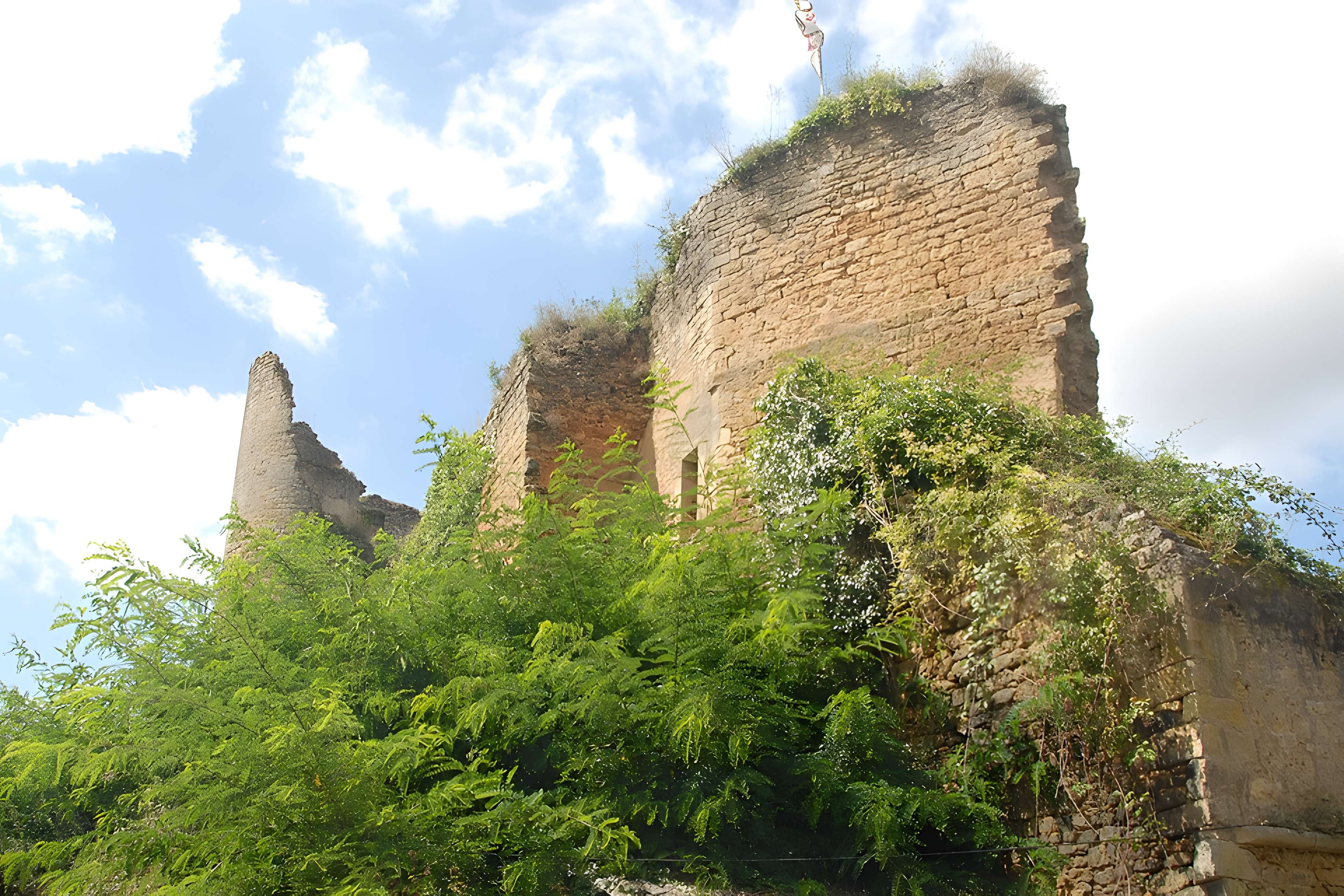Château de Château-Larcher