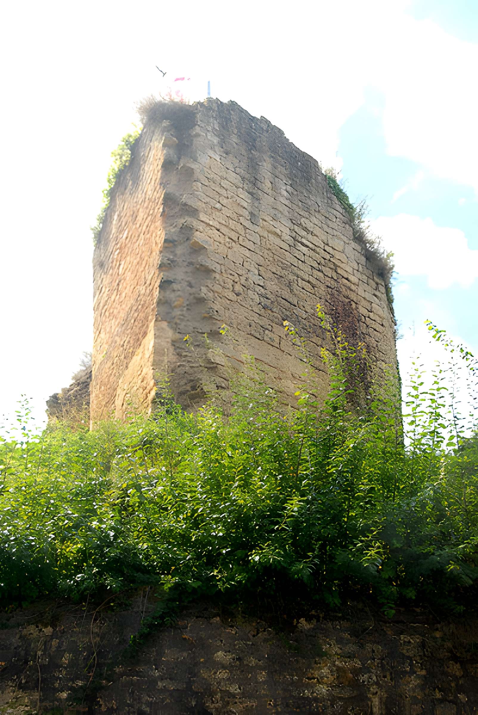 Château de Château-Larcher