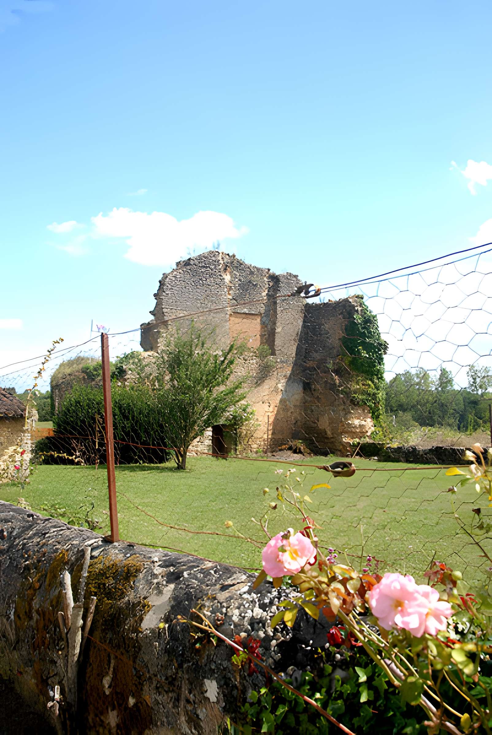 Château de Château-Larcher