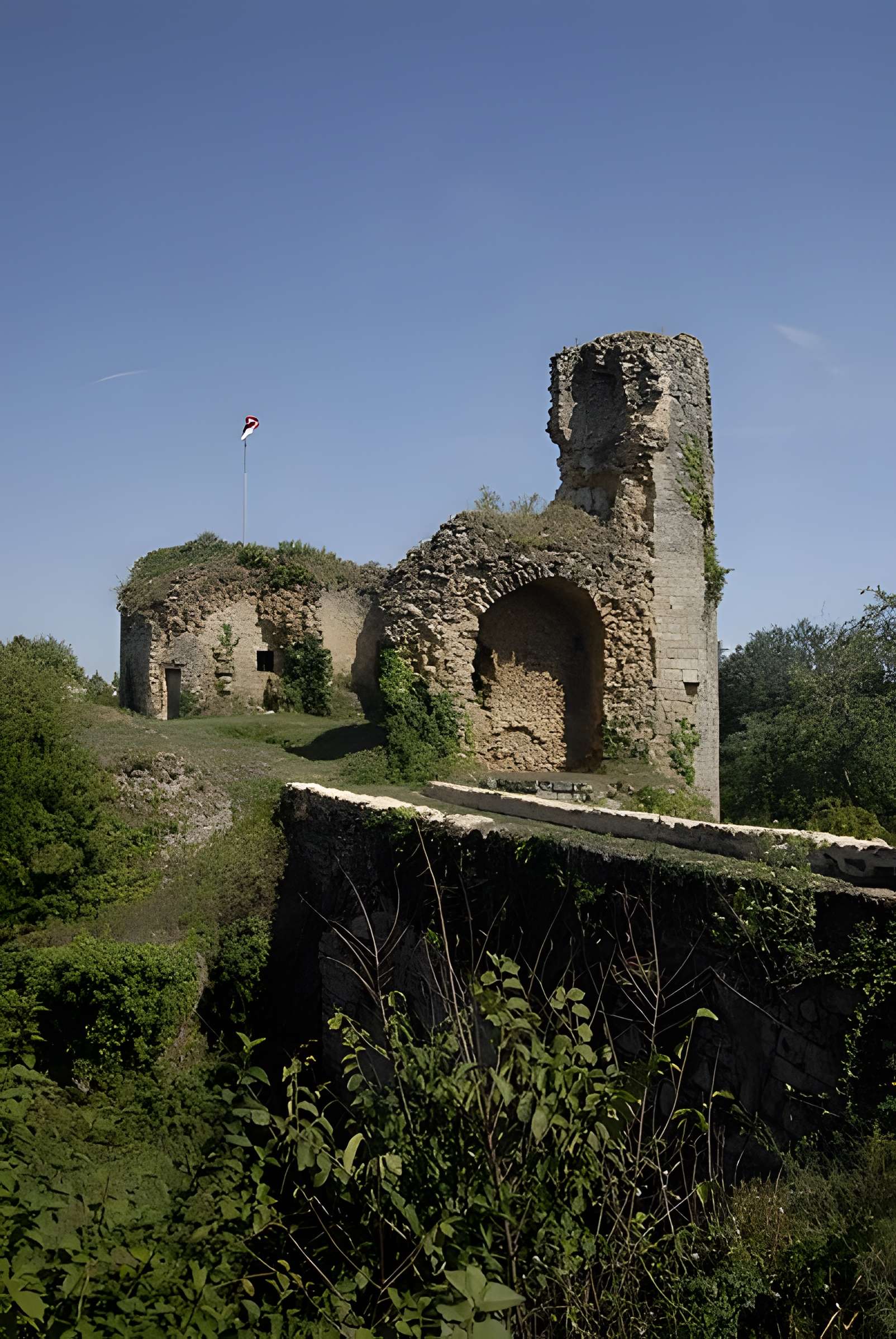 Château de Château-Larcher