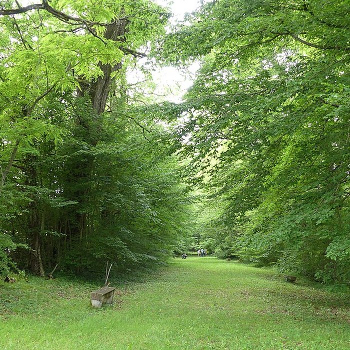 Photo de Château de Château-lÉvêque