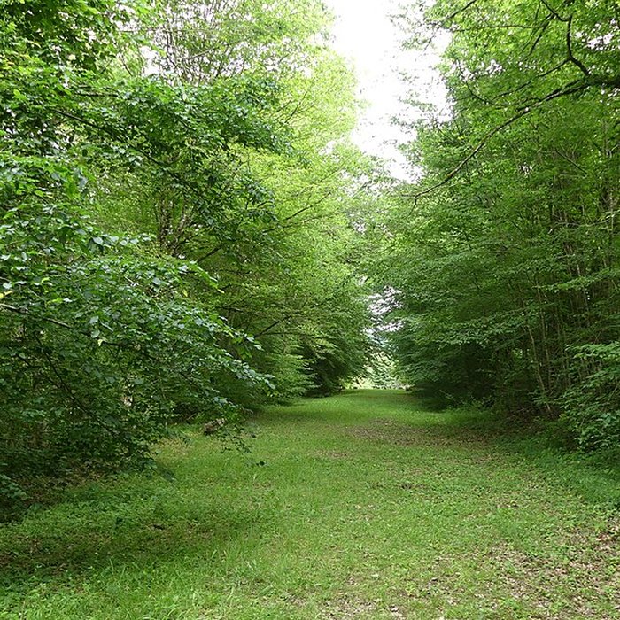 Photo de Château de Château-lÉvêque