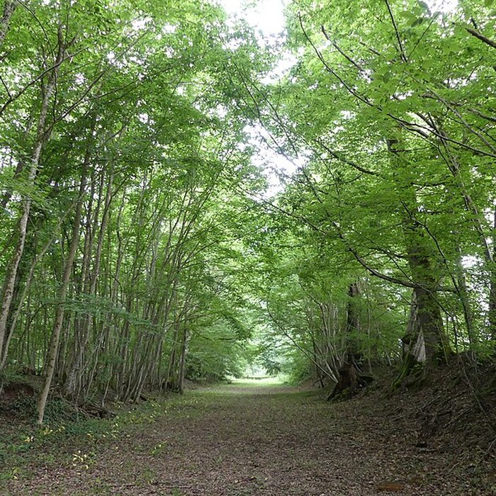 Photo de Château de Château-lÉvêque