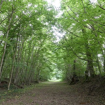 Château de Château-lÉvêque