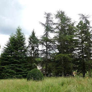 Château de Château-lÉvêque