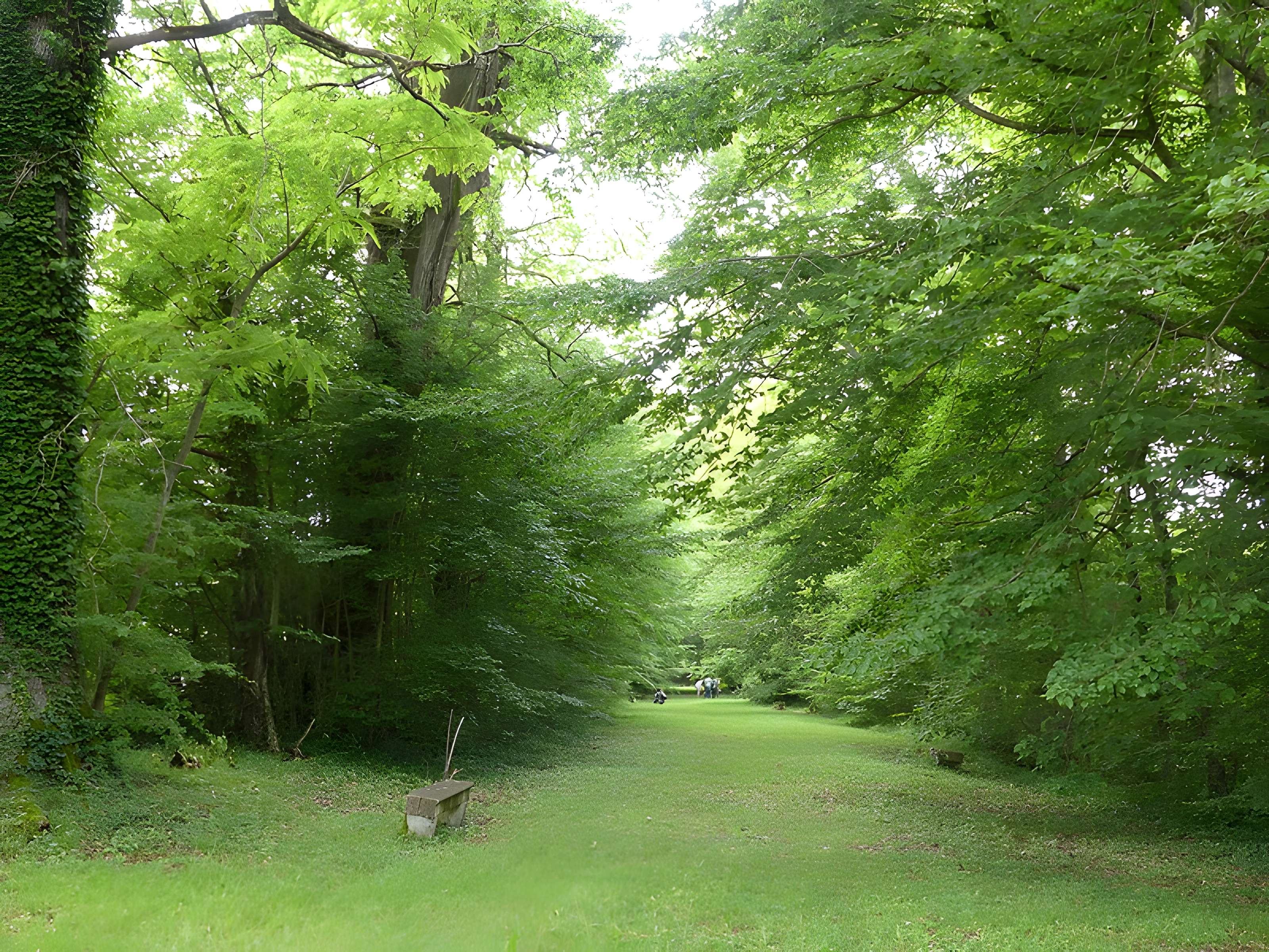 Château de Château-l'Évêque