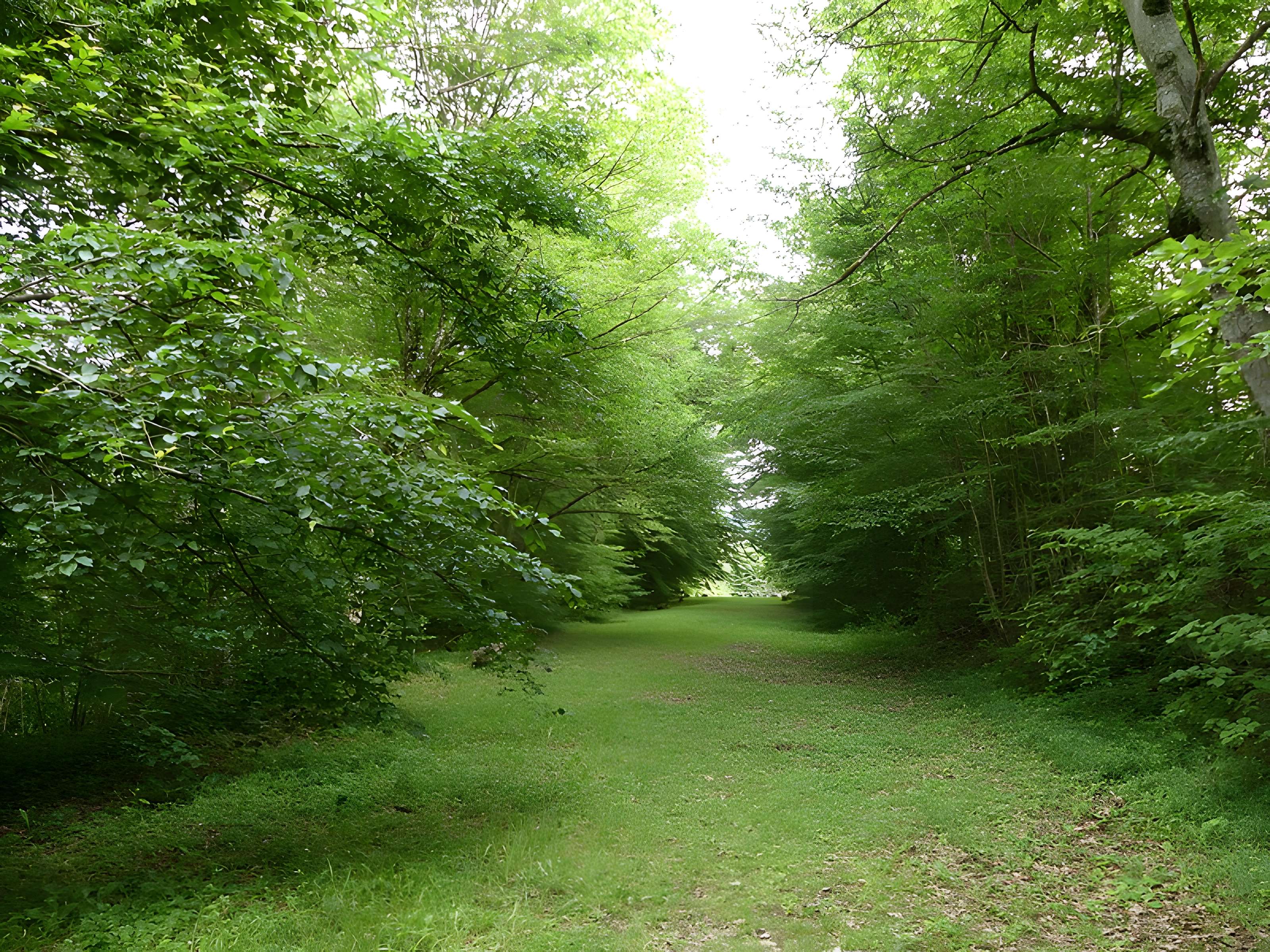 Château de Château-l'Évêque