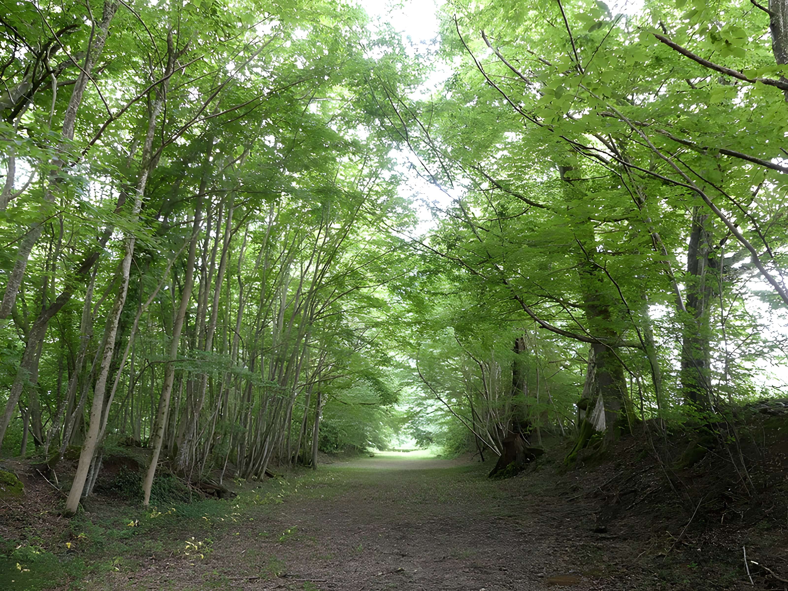 Château de Château-l'Évêque