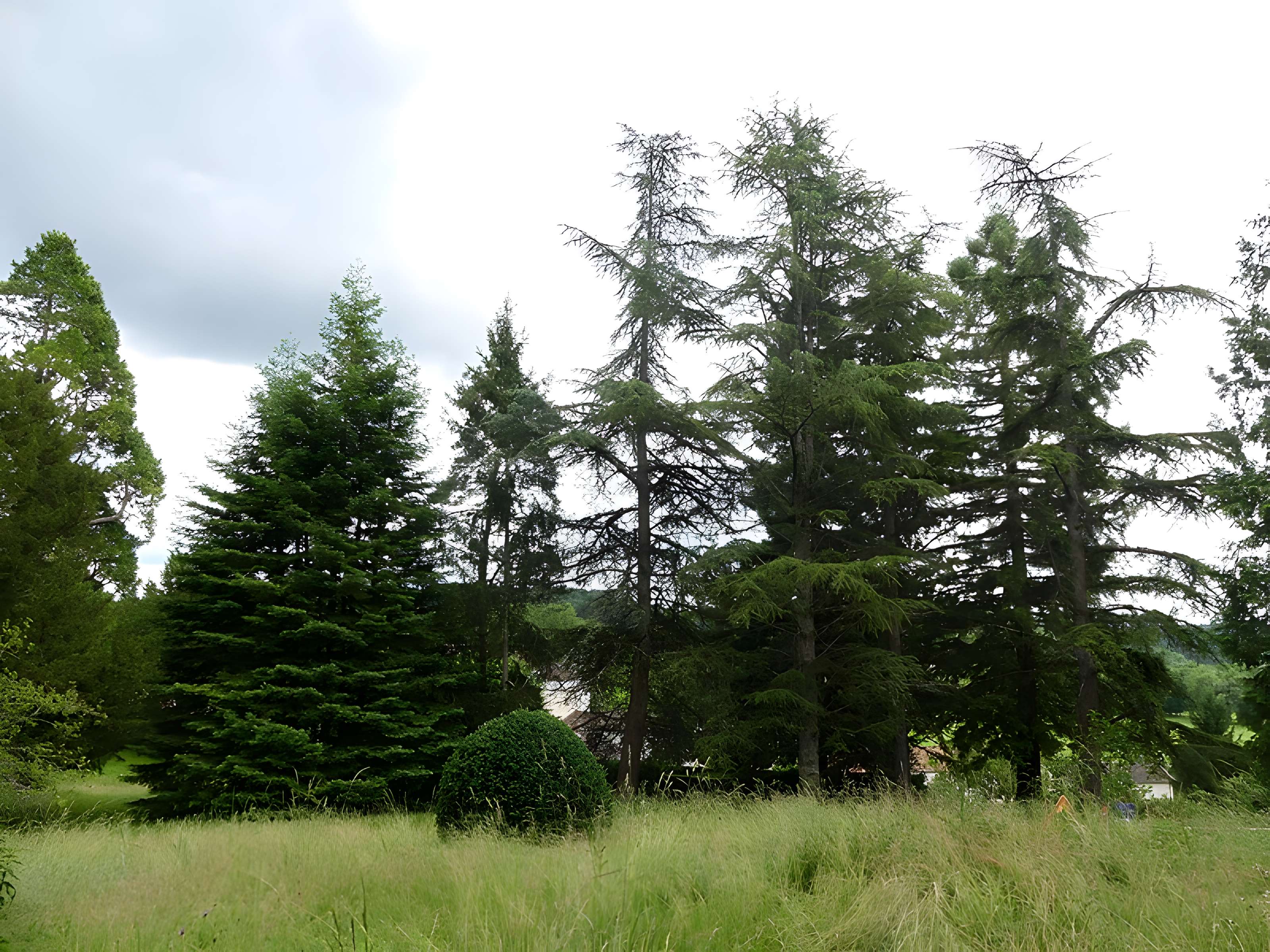 Château de Château-l'Évêque