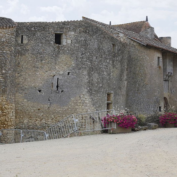 Photo de Château de Chiré-en-Montreuil