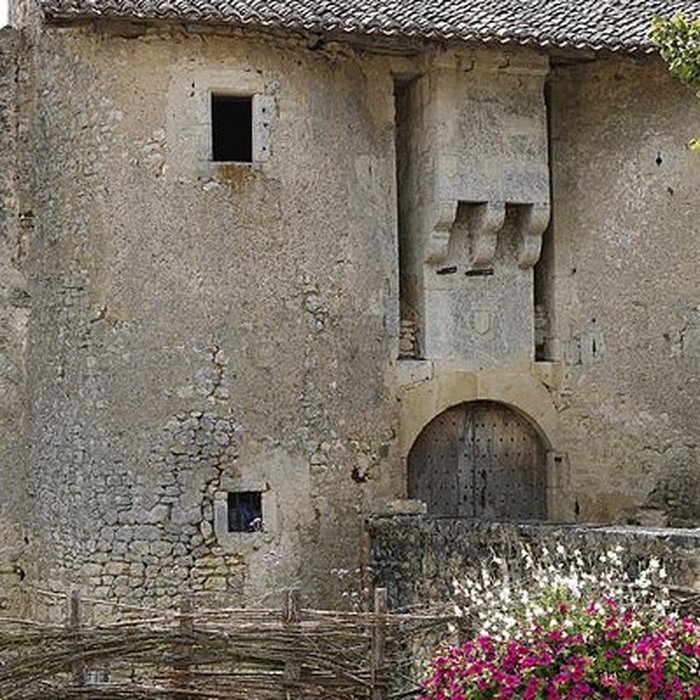 Photo de Château de Chiré-en-Montreuil