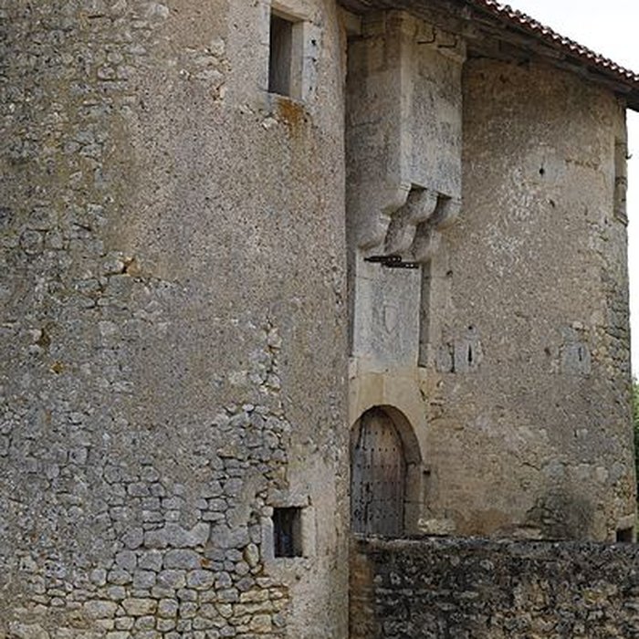 Photo de Château de Chiré-en-Montreuil