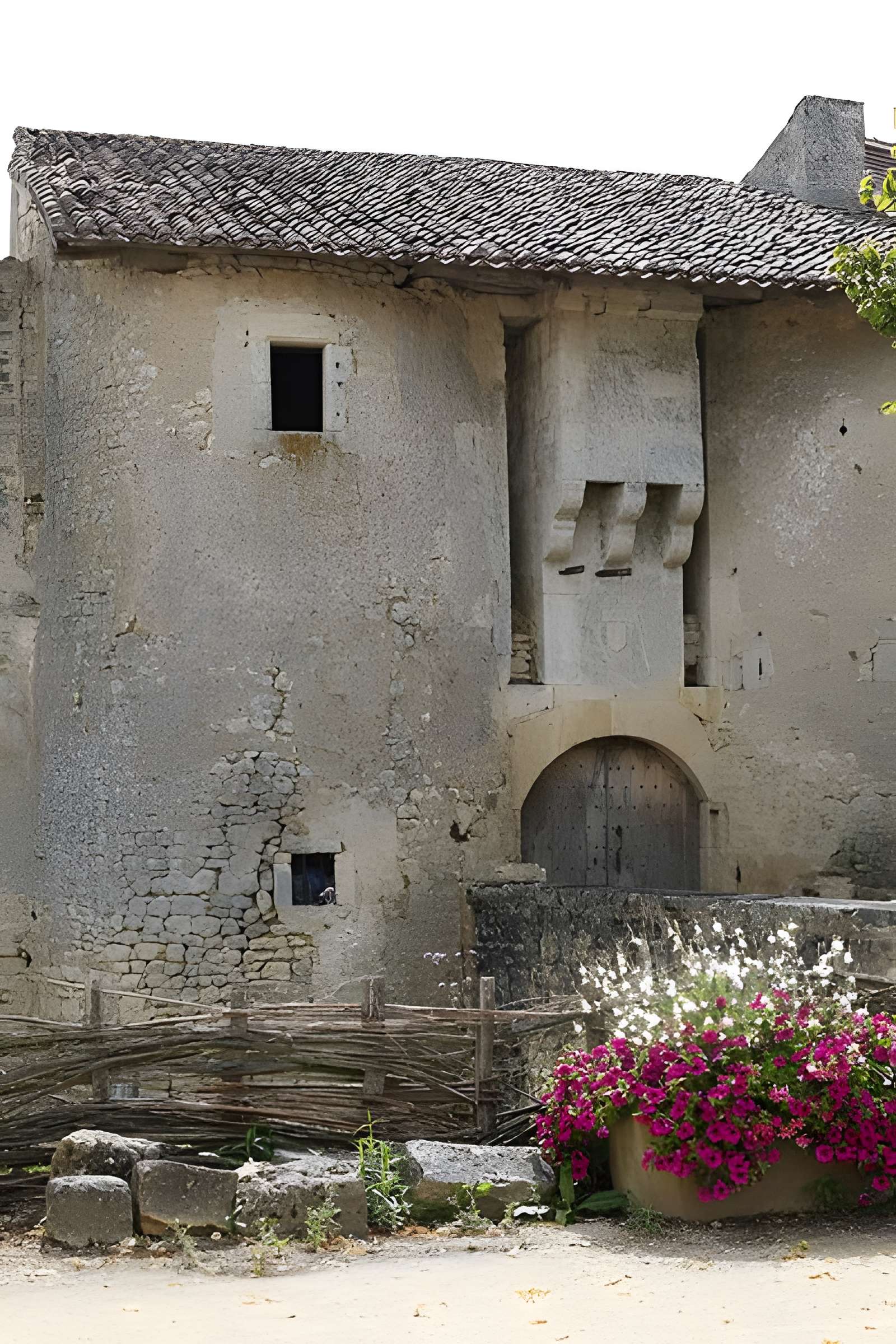 Château de Chiré-en-Montreuil