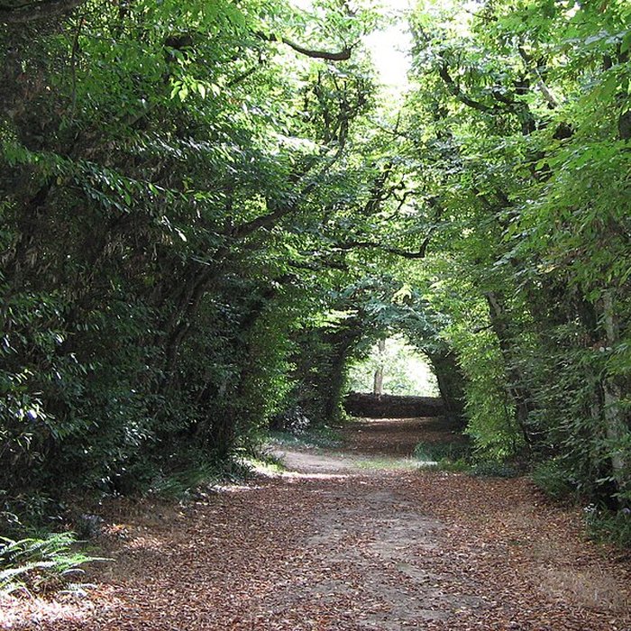 Photo de Château de Couëllan